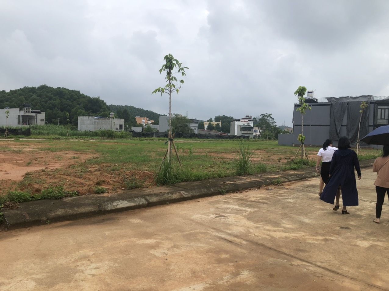 3519358 ảnh đại diện 1