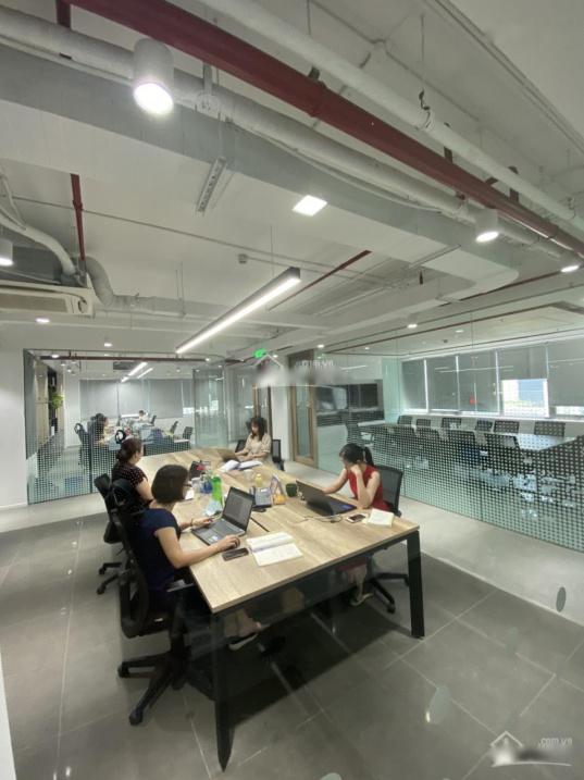 3517673 ảnh đại diện 1