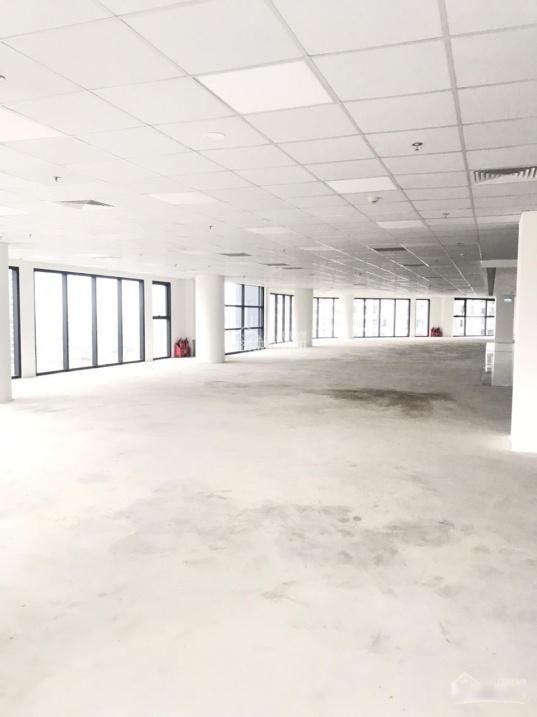 3517673 ảnh đại diện 1