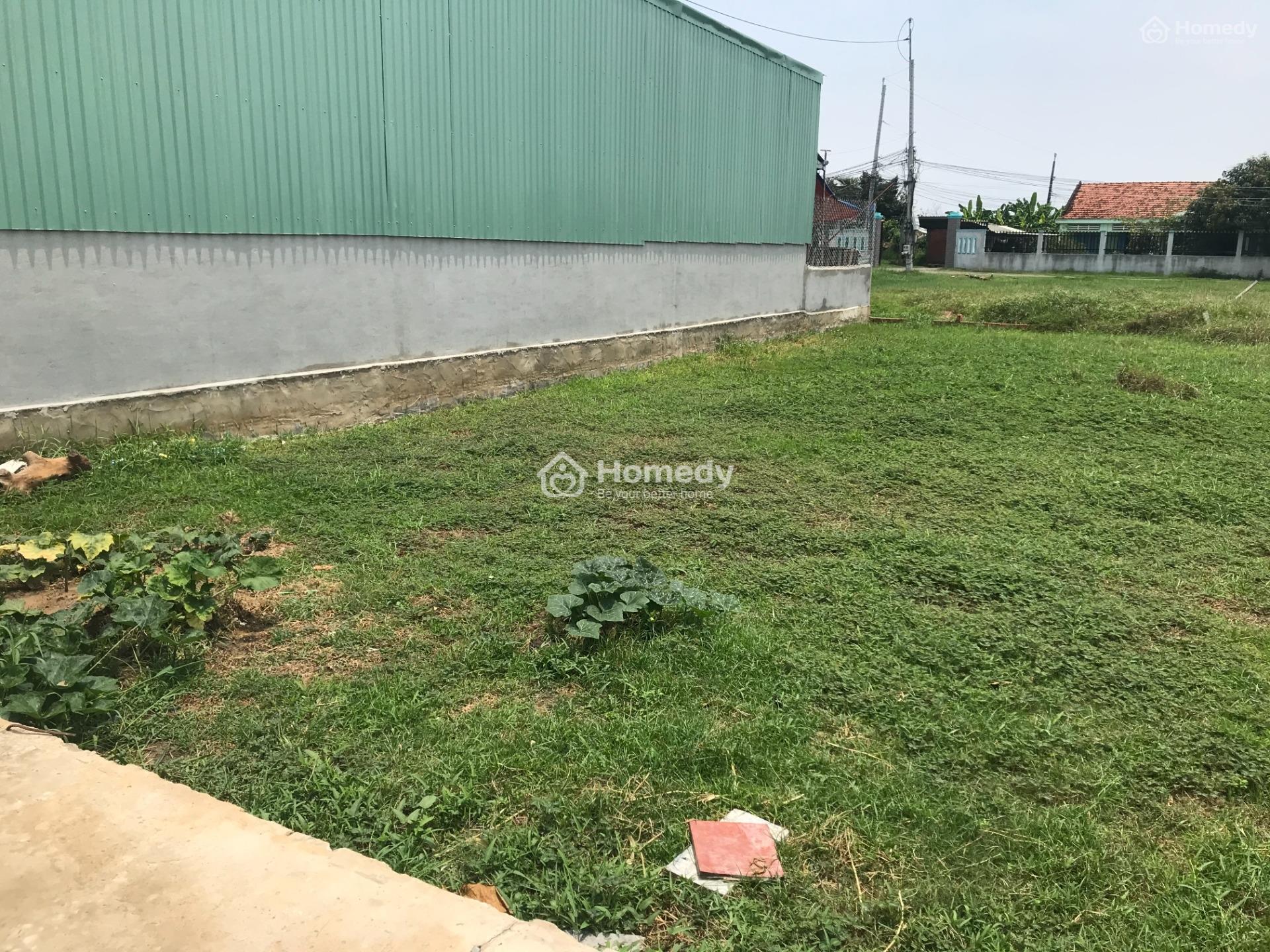 3518202 ảnh đại diện 1