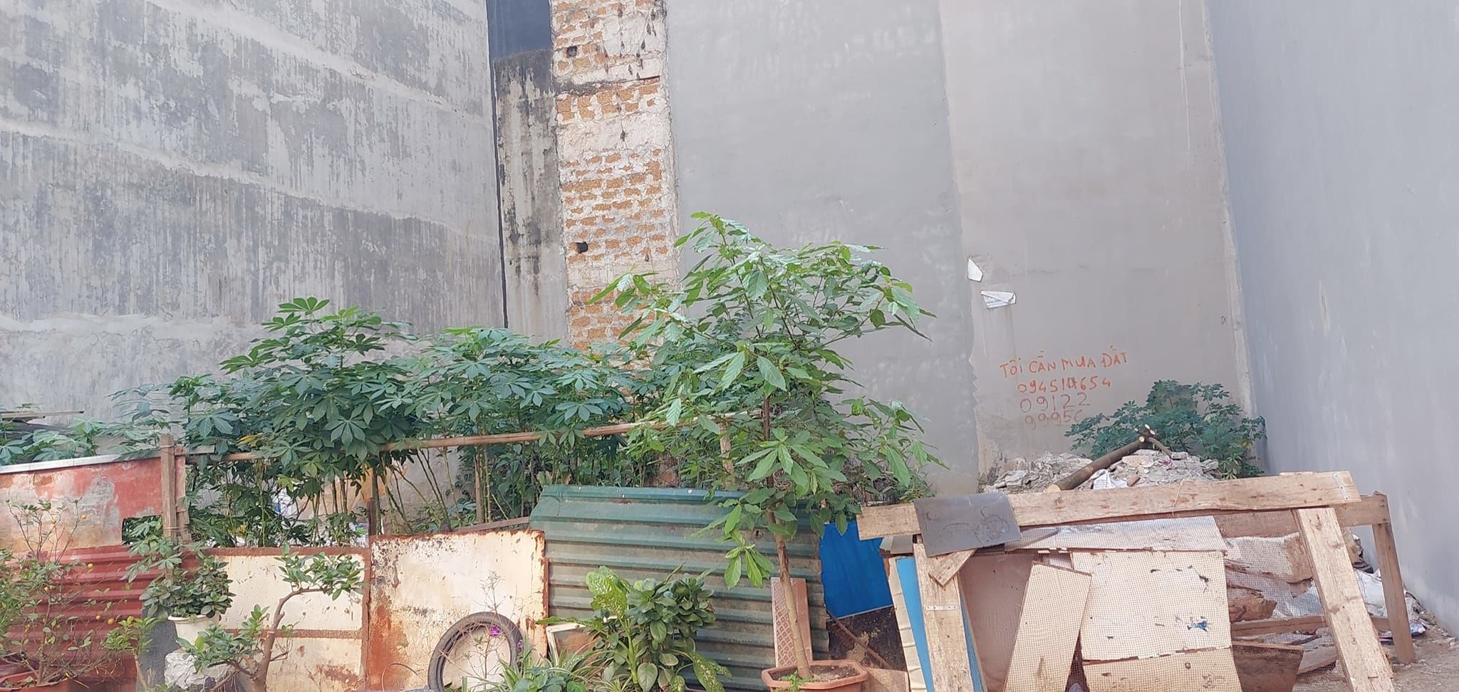 3520371 ảnh đại diện 2