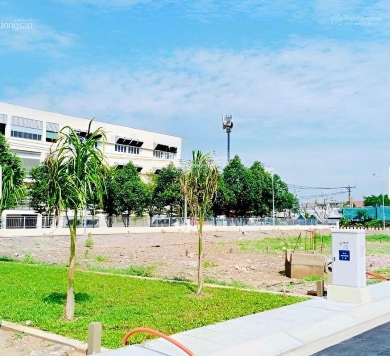 3521580 ảnh đại diện 1