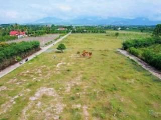 3522128 ảnh đại diện 1
