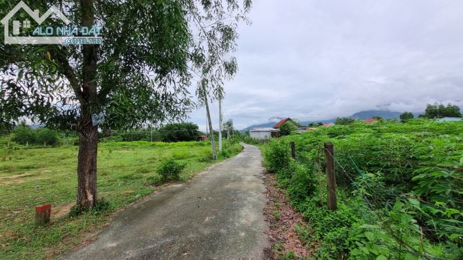 3528097 ảnh đại diện 2