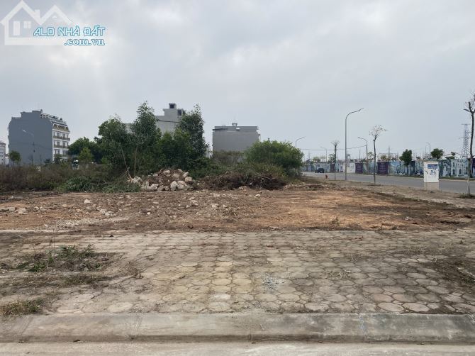 3528159 ảnh đại diện 2
