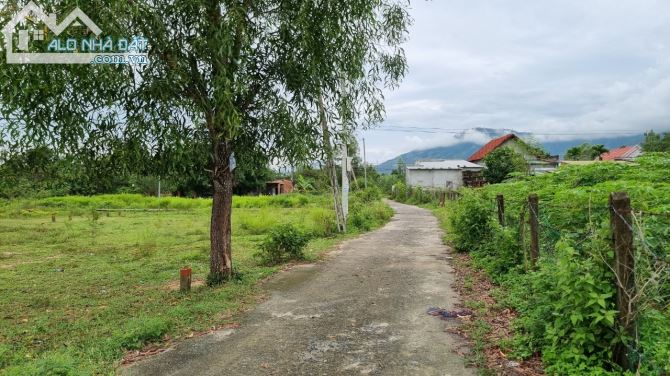 3528097 ảnh đại diện 1
