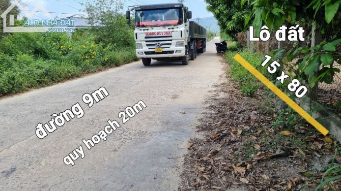 3527200 ảnh đại diện 1
