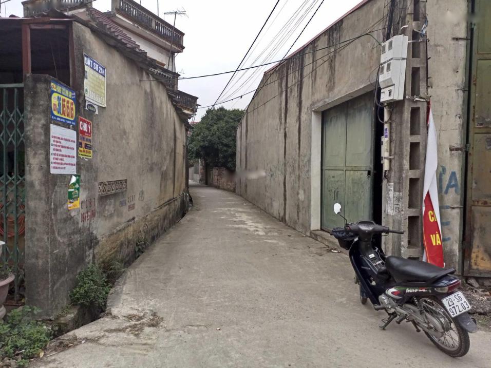 3529225 ảnh đại diện 2