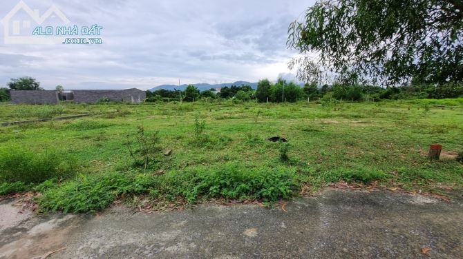 3528097 ảnh đại diện 1