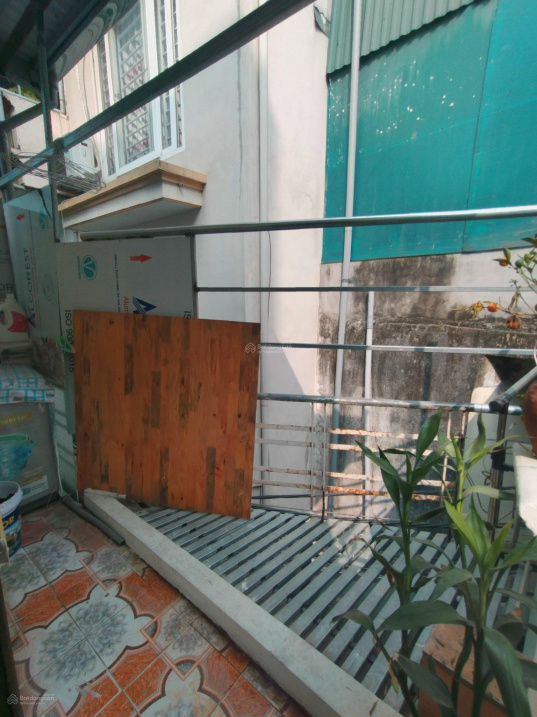 3530697 ảnh đại diện 2