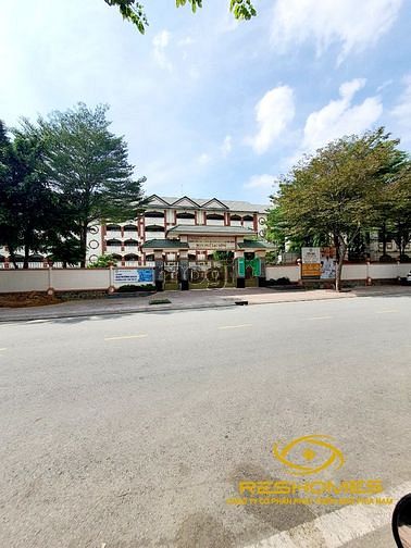3532627 ảnh đại diện 1