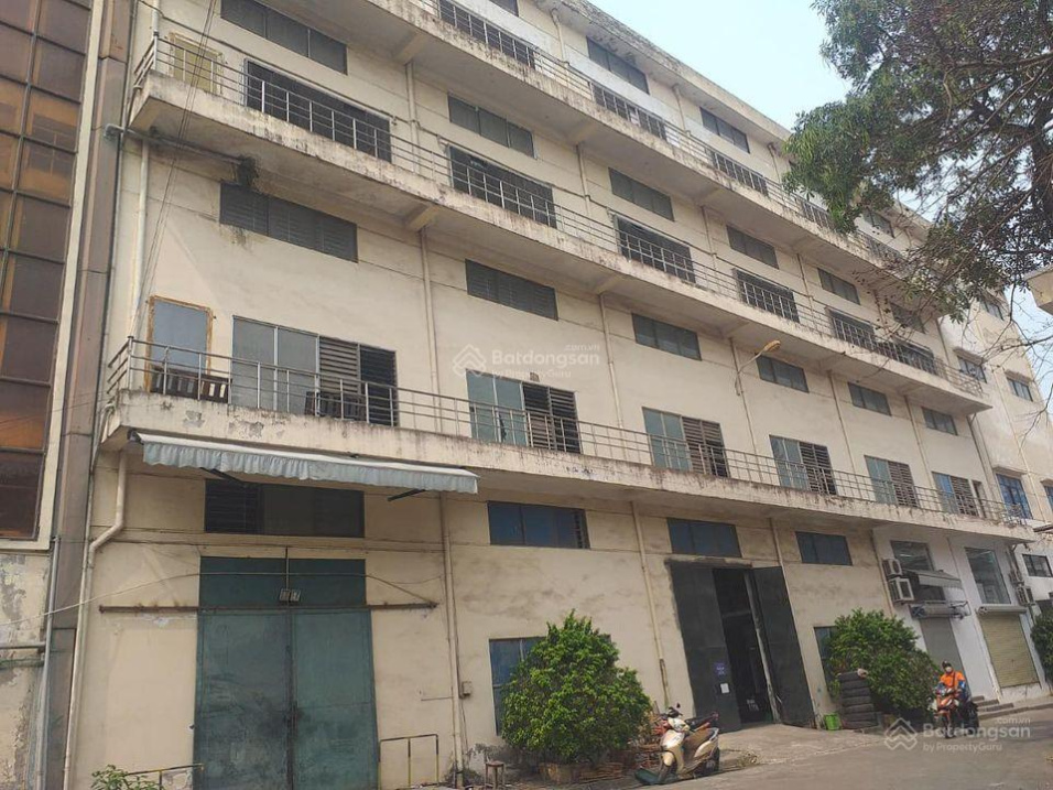 3540569 ảnh đại diện 1