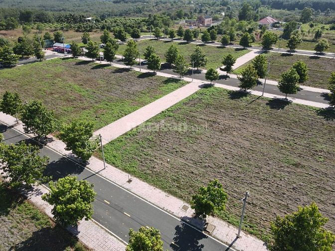3541970 ảnh đại diện 1