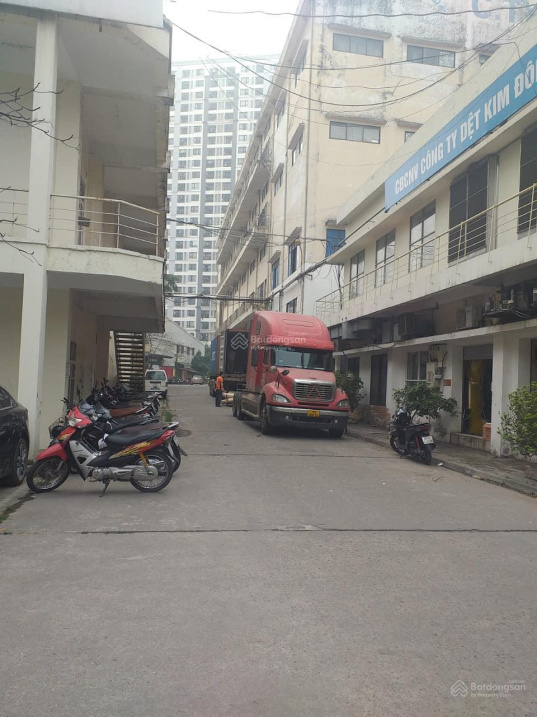 3540569 ảnh đại diện 1