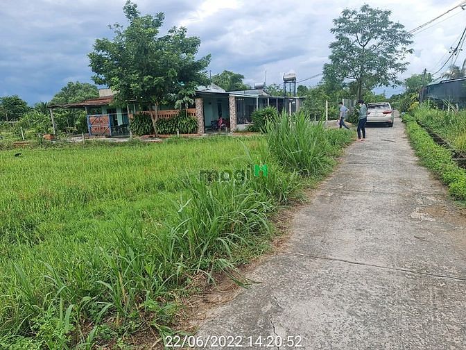 3539871 ảnh đại diện 1