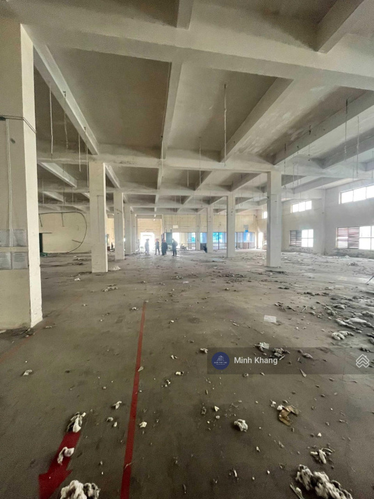 3540558 ảnh đại diện 1