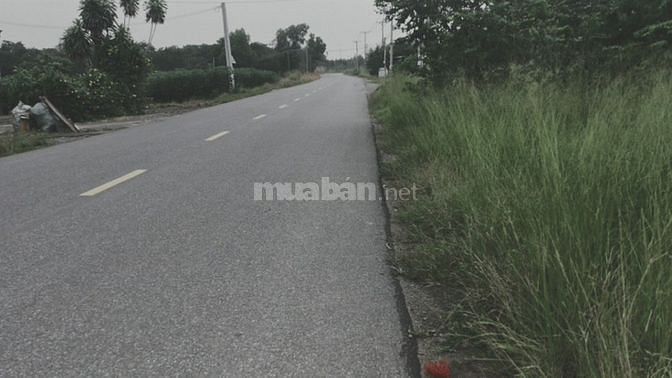 5 Sào Mặt Tiền Tập Đoàn 7 - Mỹ Xuân.