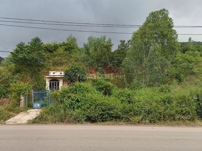 3546607 ảnh đại diện 2