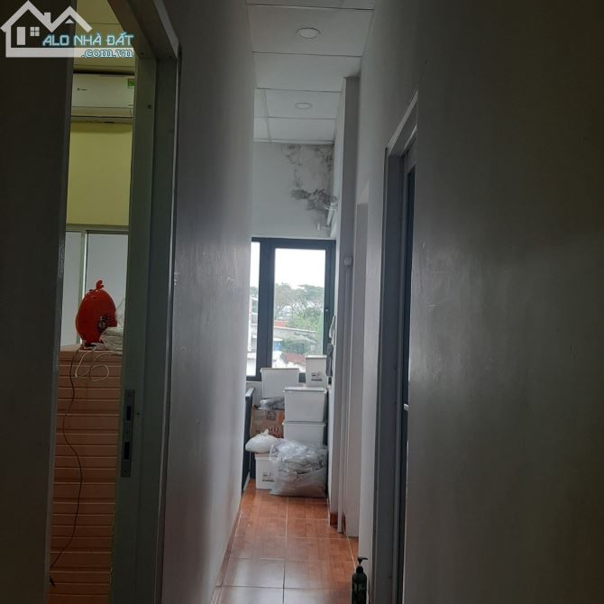 3544946 ảnh đại diện 2