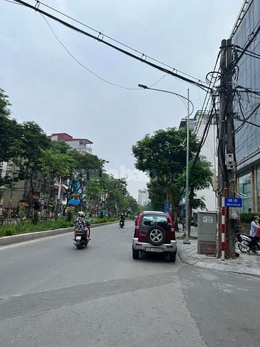 3542549 ảnh đại diện 1