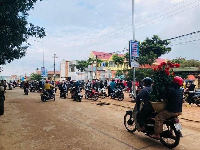 3545871 ảnh đại diện 1