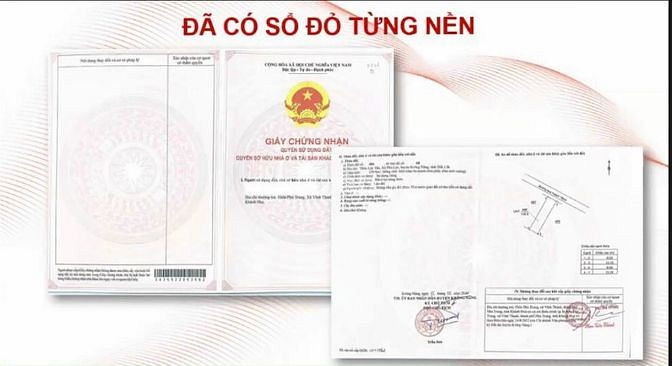 3545867 ảnh đại diện 2