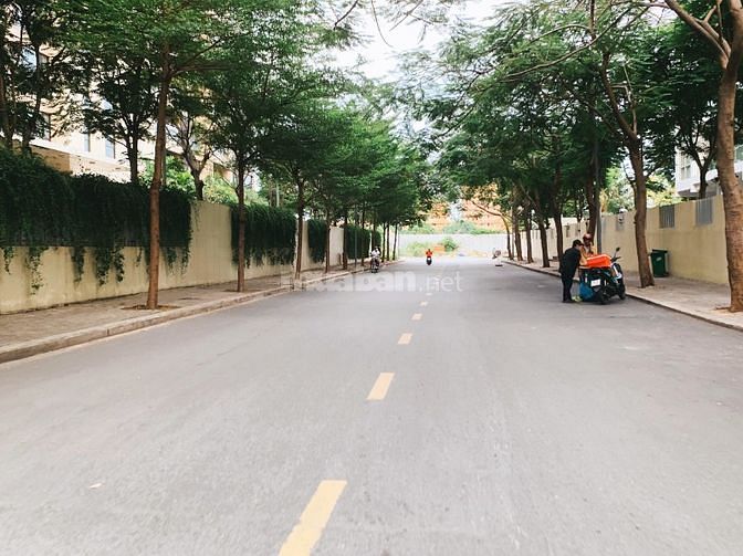 3544962 ảnh đại diện 2