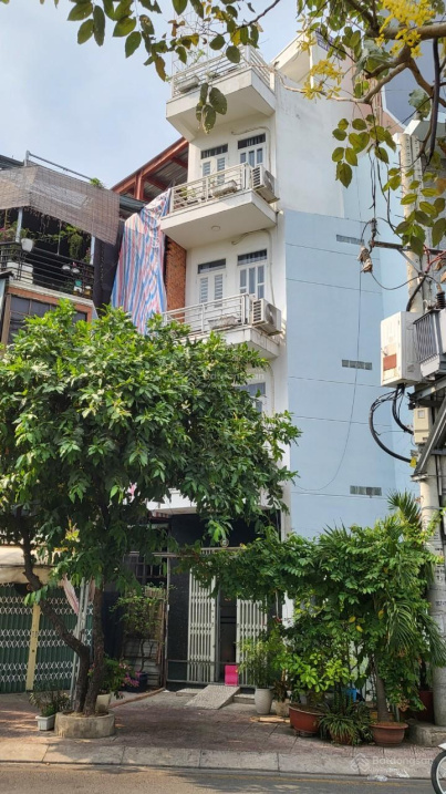 3544270 ảnh đại diện 1