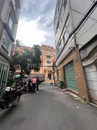 3546764 ảnh đại diện 2