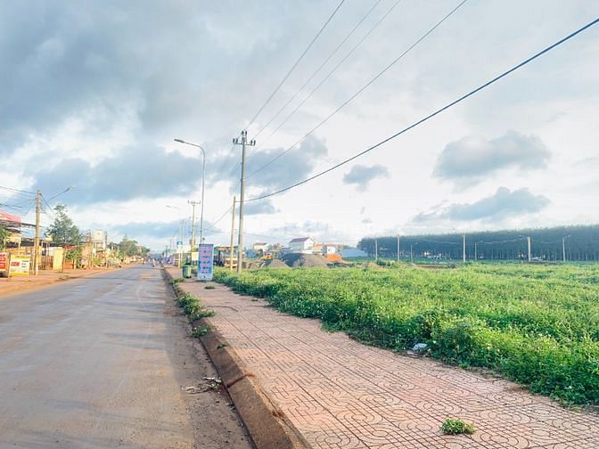 3545867 ảnh đại diện 1