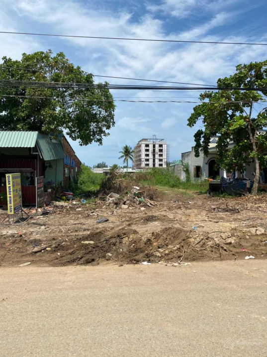 3544851 ảnh đại diện 1