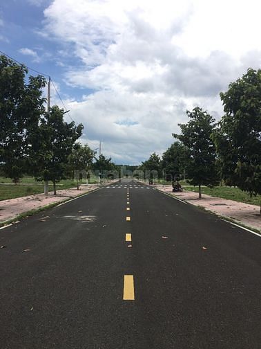 3543401 ảnh đại diện 2