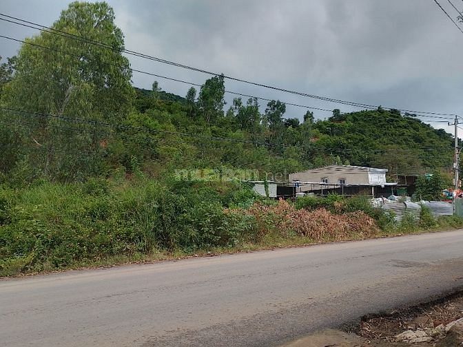 3546607 ảnh đại diện 1