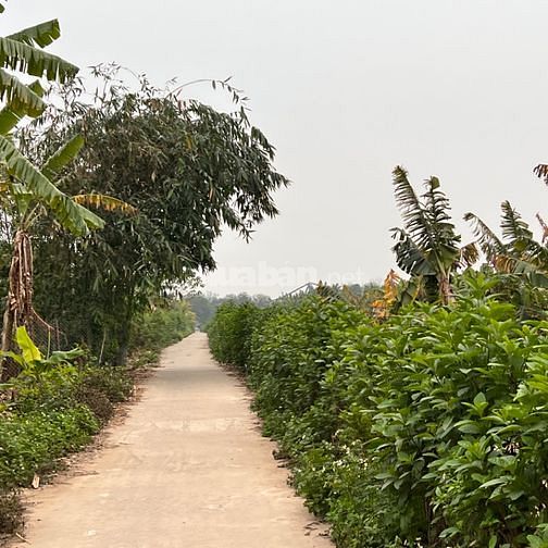 3542541 ảnh đại diện 1