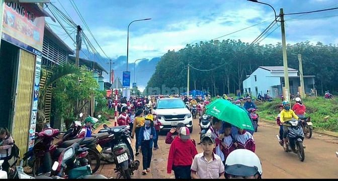 3545871 ảnh đại diện 1