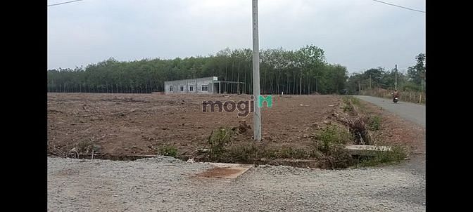 3554441 ảnh đại diện 1