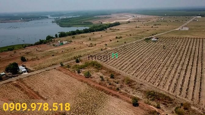 3556994 ảnh đại diện 1