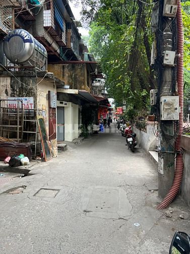 3550644 ảnh đại diện 1