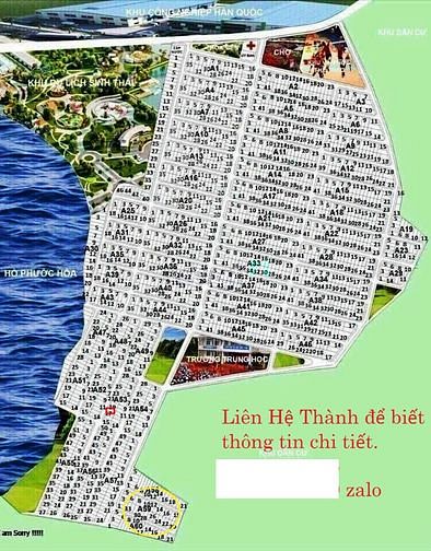 3556994 ảnh đại diện 2