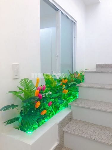 3549763 ảnh đại diện 1