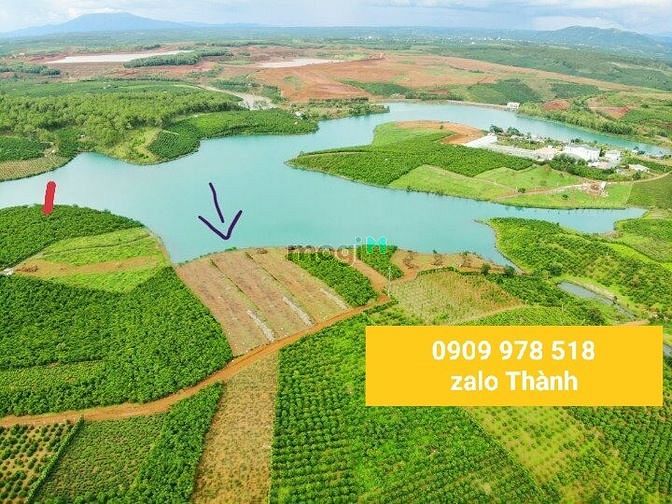3554442 ảnh đại diện 1