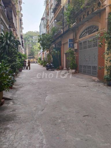 3555809 ảnh đại diện 2