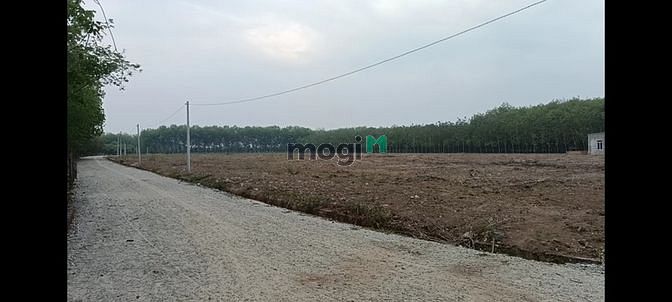 3554441 ảnh đại diện 1