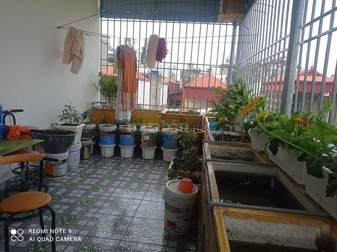 3552984 ảnh đại diện 1