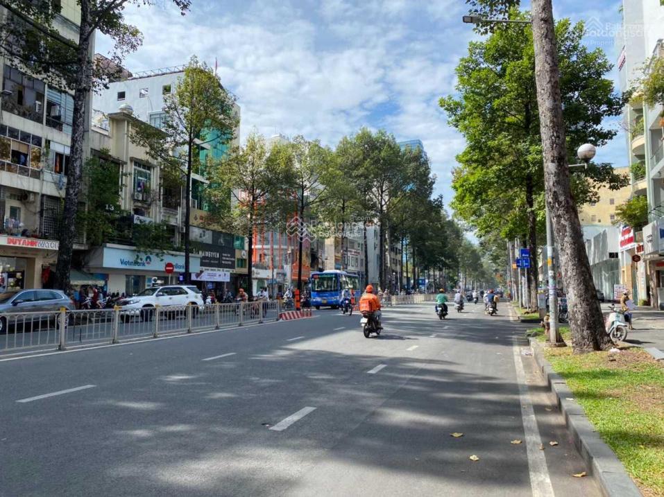 3554455 ảnh đại diện 1