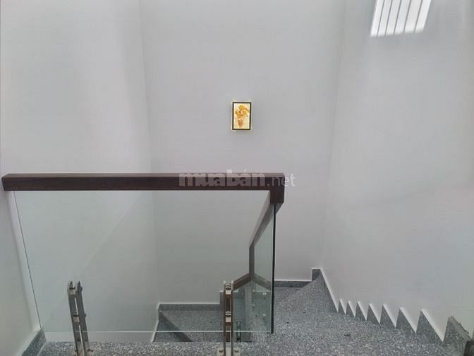 3549351 ảnh đại diện 2