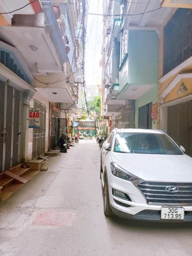 3555809 ảnh đại diện 1