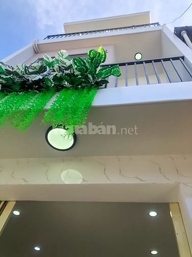 3549763 ảnh đại diện 1
