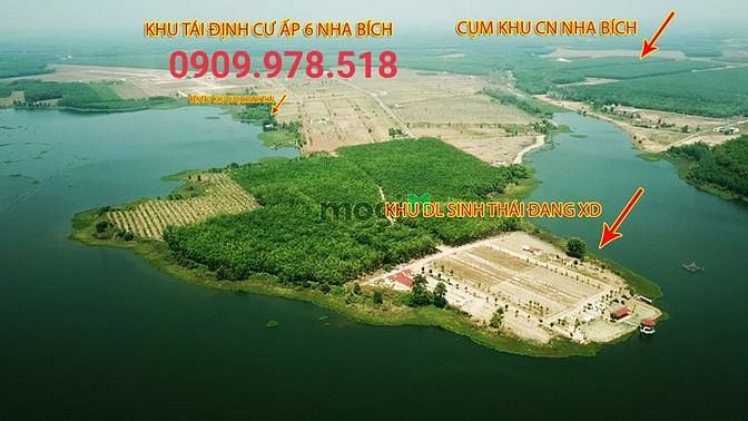 3556994 ảnh đại diện 1