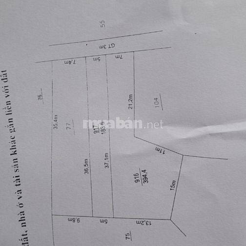 3562703 ảnh đại diện 1